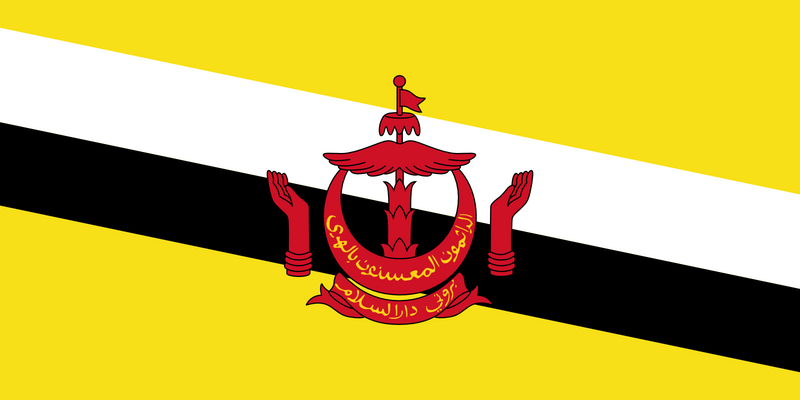 Brunei Darussalam Flag 3x5ft Poly