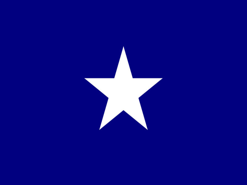 Bonnie Blue 3'X5' Flag ROUGH TEX®100D