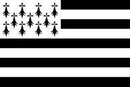 Bretagne France Flag 3x5ft 100D