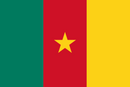 Cameroon Flag 3x5ft Poly