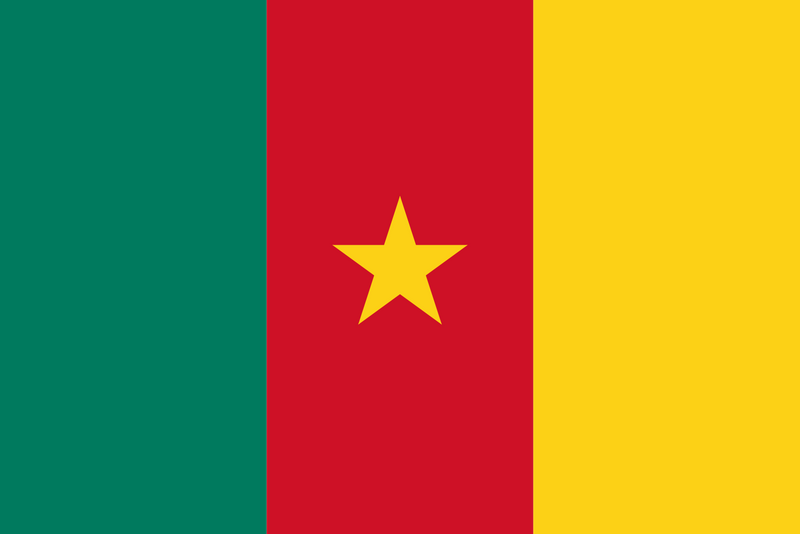 Cameroon Flag 3x5ft Poly