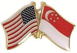 USA Singapore Lapel Pin