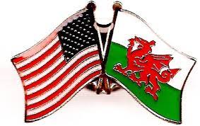 USA Wales Lapel Pin