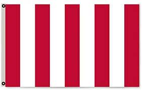 SONS OF LIBERTY  3'x5' Rough Tex ® 100D Flags 1776 REBELLIOUS STRIPES