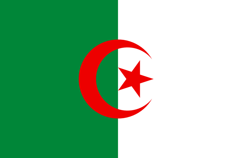 Algeria Flag 3x5ft Poly