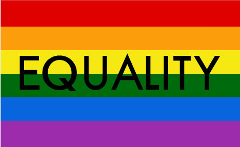 Equality Rainbow 3'x5' Flag ROUGH TEX® 68D Nylon