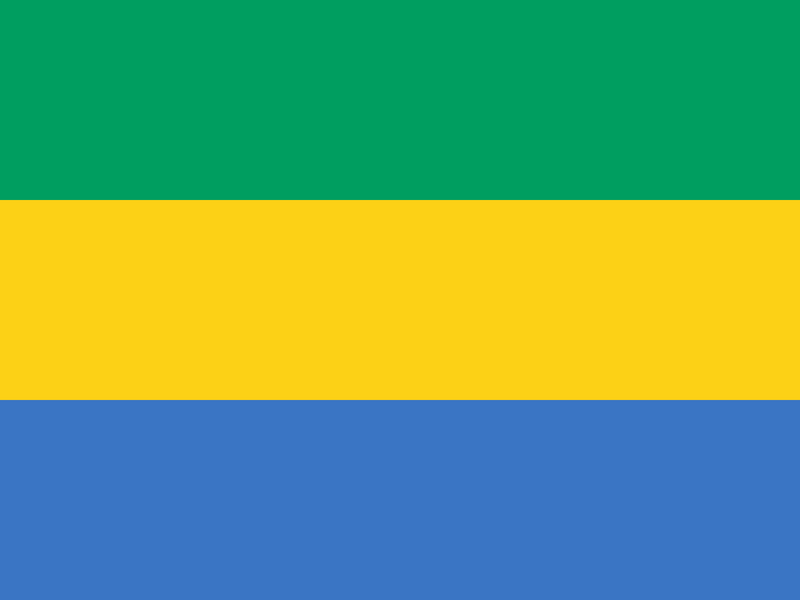 Gabon Flag 3x5ft Poly