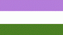 Gender Queer Flag with Grommets 12'X18' Rough Tex® 100D