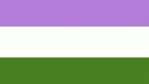 Gender Queer Flag with Grommets 12'X18' Rough Tex® 100D