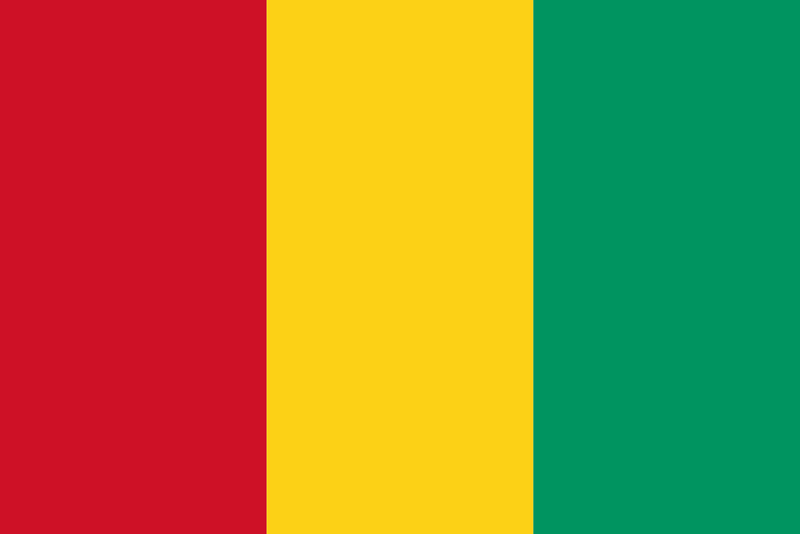Guinea Flag 3x5ft Poly