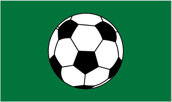 Soccer Ball Green 3'X5' Flag ROUGH TEX® 100D