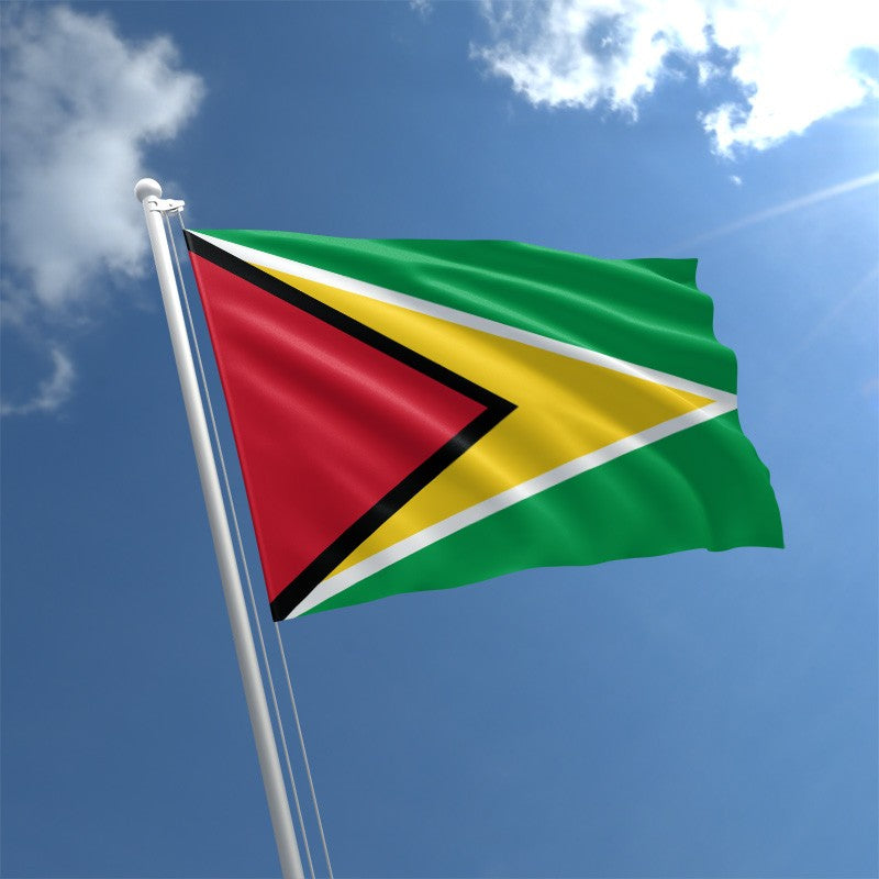 Guyana 3'X5' Flag ROUGH TEX® 100D