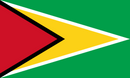 Guyana Flag 3x5ft Poly