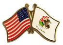USA Illinois Lapel Pin