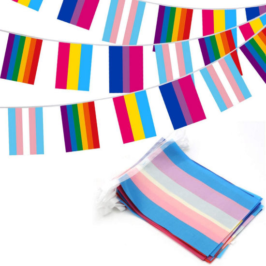 Assorted 24 Pride Flag 36' Long Bunting