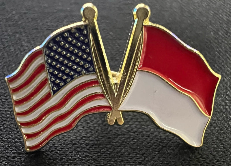 USA Indonesia Lapel Pin