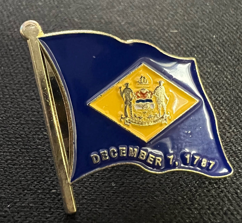 Delaware Lapel Pin