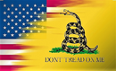 USA American Gadsden 3x5ft Nylon 150D Flag