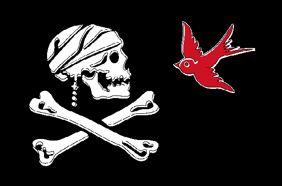 Jack Sparrow 12"x18" Car Flag Flag ROUGH TEX® Double Sided