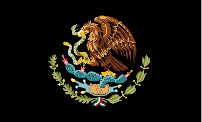 Mexico Black 3'x5' Flag ROUGH TEX® 68D Nylon