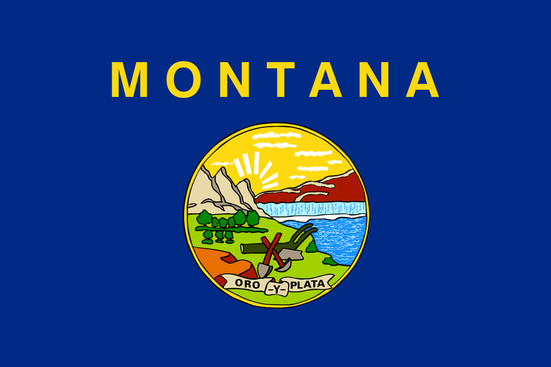 Montana 3'x5' Flag ROUGH TEX® 68D Nylon