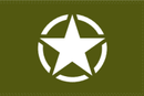 Old Army Olive Invasion Star 12''X18'' Stick Flags - Rough Tex ®100D