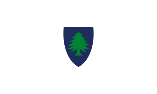 New England Liberty Tree American 1776 3’X5’ 100D OLD MASSACHUSETTS FLAG