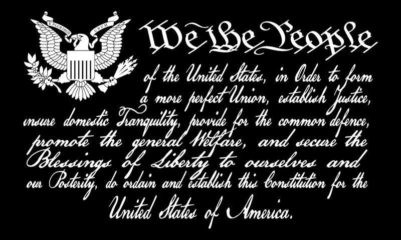 We the People Official USA Constitution 3x5 Rough Tex flag Black Out
