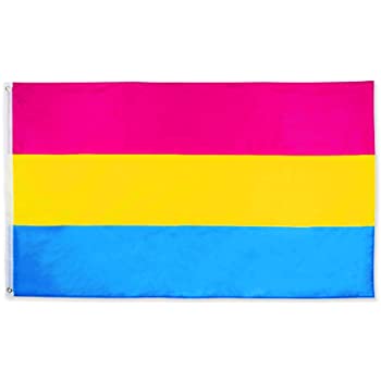 Pansexual 3'X5' Flag ROUGH TEX® 100D