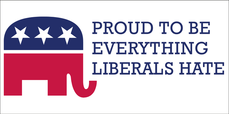 Proud To Be Everything Liberals Hate - Bumper Sticker