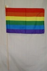 Rainbow Pride 12"x18" stick flags one gross (144)