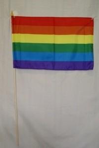 Rainbow 12"x18" stick flags one dozen Pride Parade