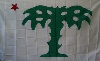 2'X3' PALMETTO GUARD SOUTH CAROLINA 100D