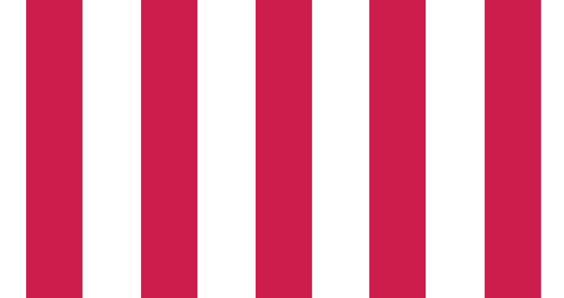 Rebellious Stripes American Patriots 1765 Sons of Liberty Flag Bumper Sticker Made in USA