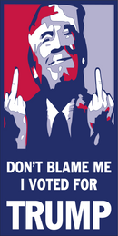 DON'T BLAME ME I VOTED FOR TRUMP MIDDLE FINGERS Bumper Sticker Made in USA American Flag