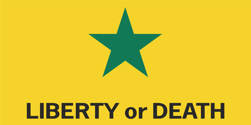 TEXAS STAR GADSDEN THEME Bumper Sticker Liberty or Death Texas Troutman 1836