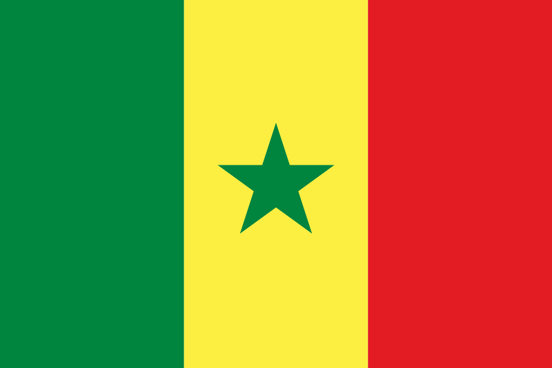 Senegal Flag 3x5ft Poly