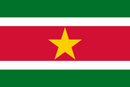 Suriname Flag 3x5ft Poly