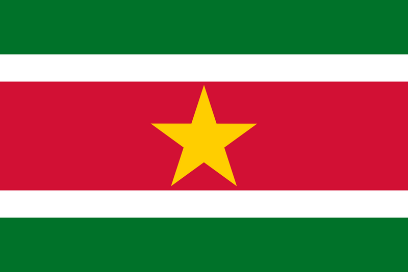 Suriname Flag 3x5ft Poly