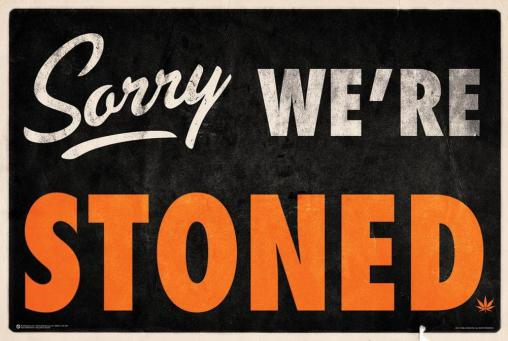 SORRY WE'RE STONED 3'X5' Flag ROUGH TEX® 100D Weed Smoker