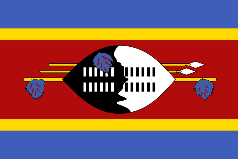 Swaziland Flag 3x5ft Poly