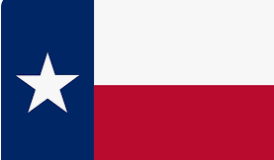 Texas 3'X5' Embroidered Flag ROUGH TEX® 300D Nylon