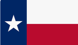 Texas 3'X5' Embroidered Flag ROUGH TEX® 600D Nylon