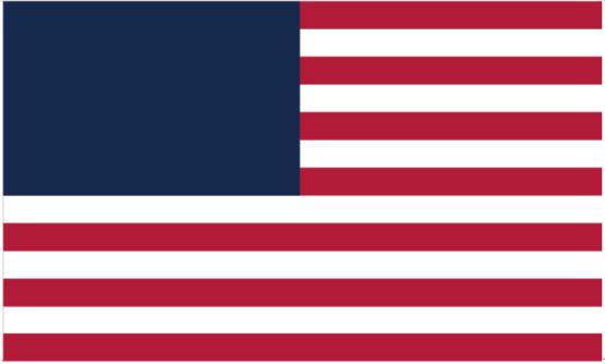 USA Under Siege 3'X5' 100D America (No 50 States Stars) Proposed Flag