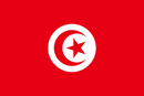 Tunisia Flag 3x5ft Poly
