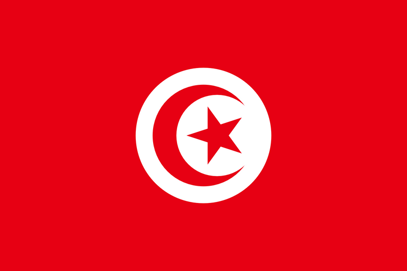 Tunisia Flag 3x5ft Poly