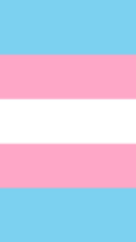 Transgender 12"x18" 100D ROUGH TEX® Nylon Garden Flag
