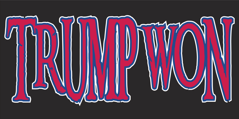 TRUMP WON - Bumper Sticker