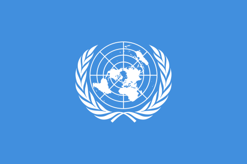 United Nations 3'x5' Flag ROUGH TEX® 68D Nylon UN Official Banner