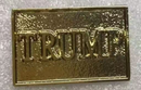 TRUMP Gold Stamped Hat & Lapel Pin